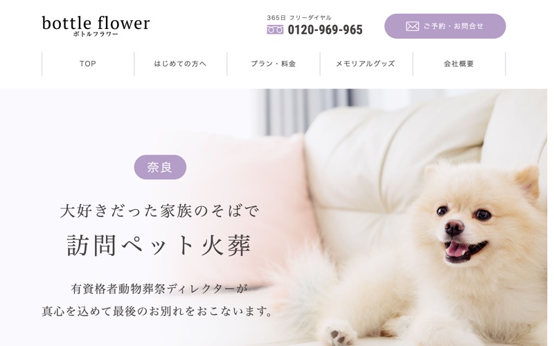 bottle flower ボトルフラワー