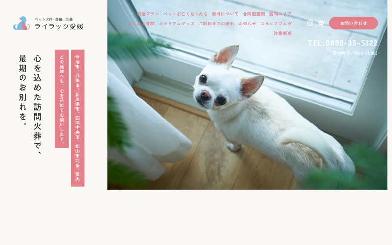 ライラック愛媛