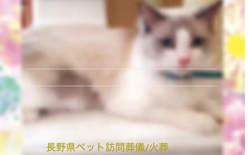 Jewel sky(ジュエル・スカイ)
