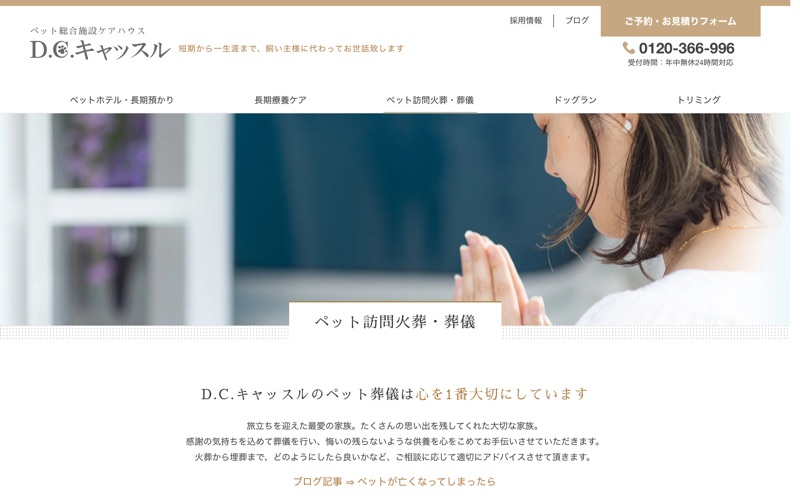 Ｄ.Ｃ.キャッスル