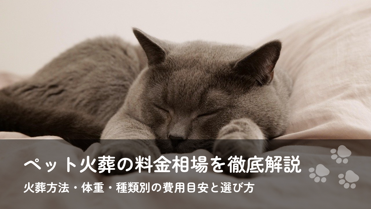 ペット火葬の料金相場を徹底解説｜火葬方法・体重・種類別の費用目安と選び方