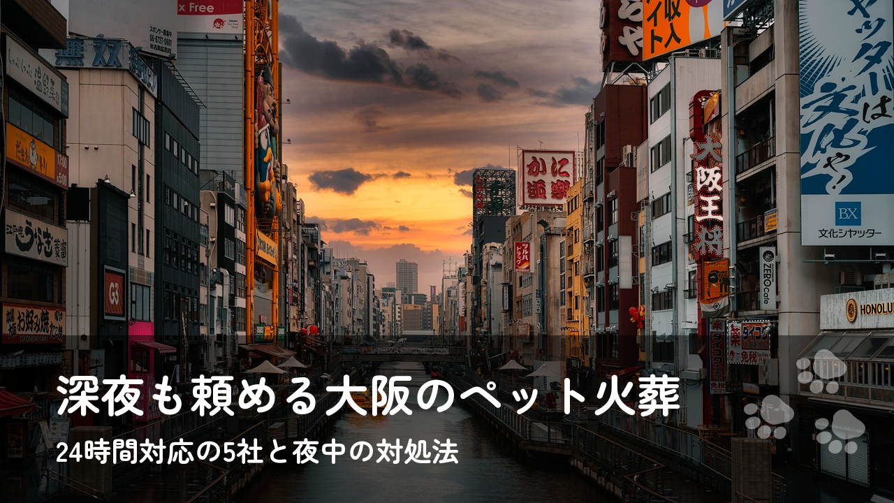 【大阪】ペット火葬24時間対応のおすすめ5選｜深夜・早朝・当日でも頼める業者