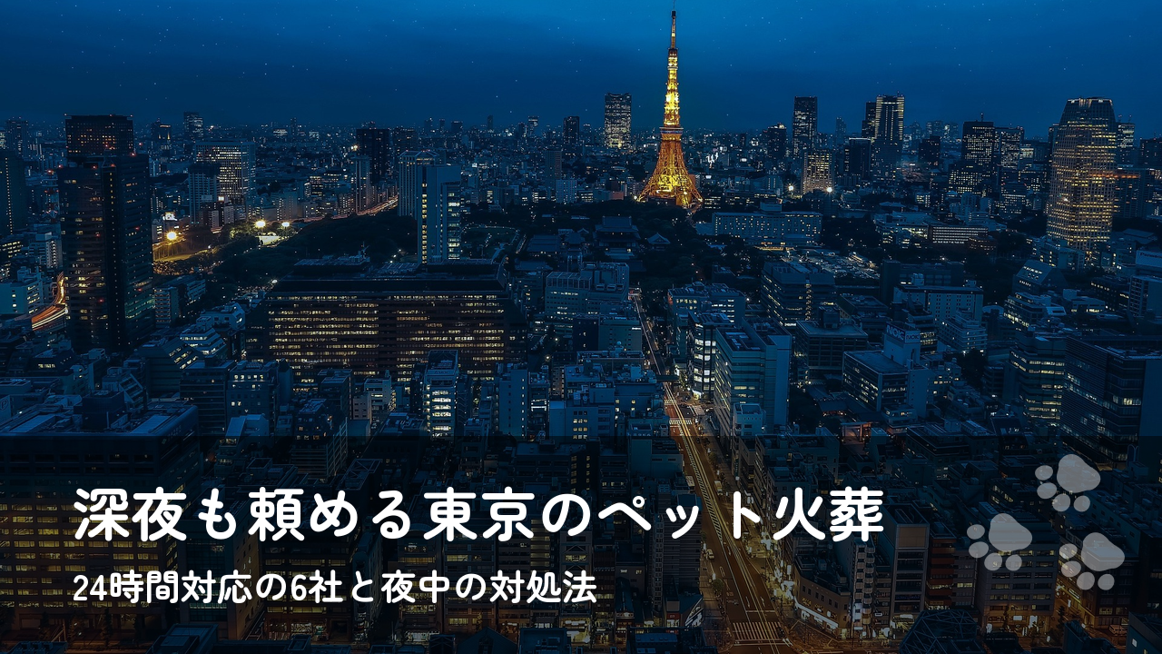 【東京】ペット火葬24時間対応のおすすめ6選｜深夜・早朝・当日でも頼める業者